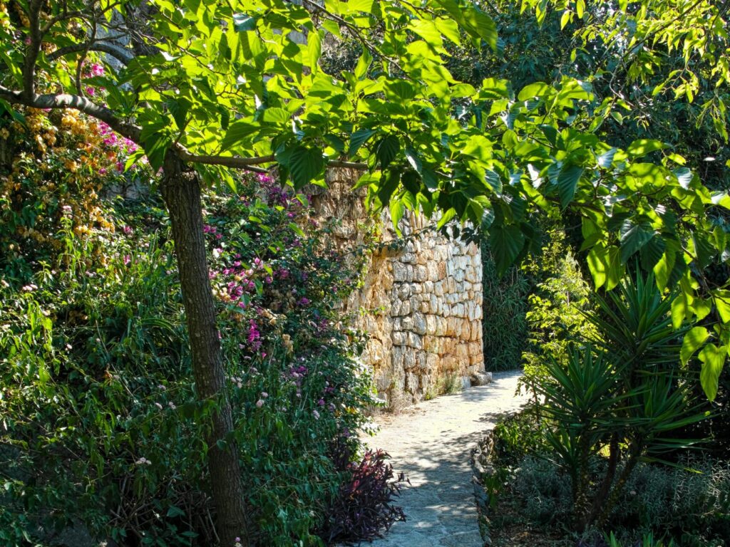 トップページ一番下の6枚-4