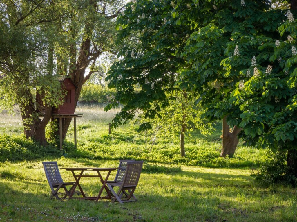 トップページ一番下の6枚-6